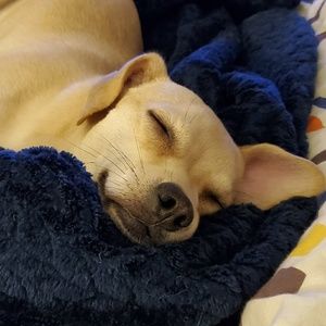 Meet your Posher, Jenna